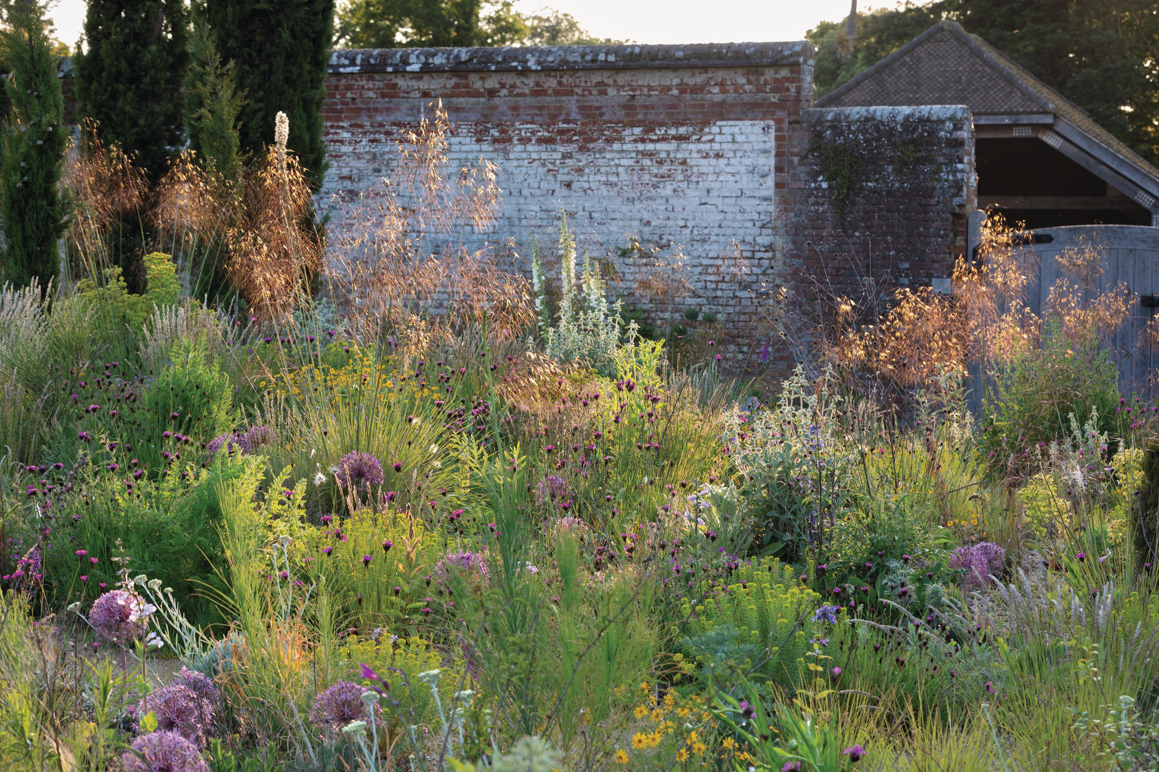 Knepp Castle: The rewilded Walled Garden