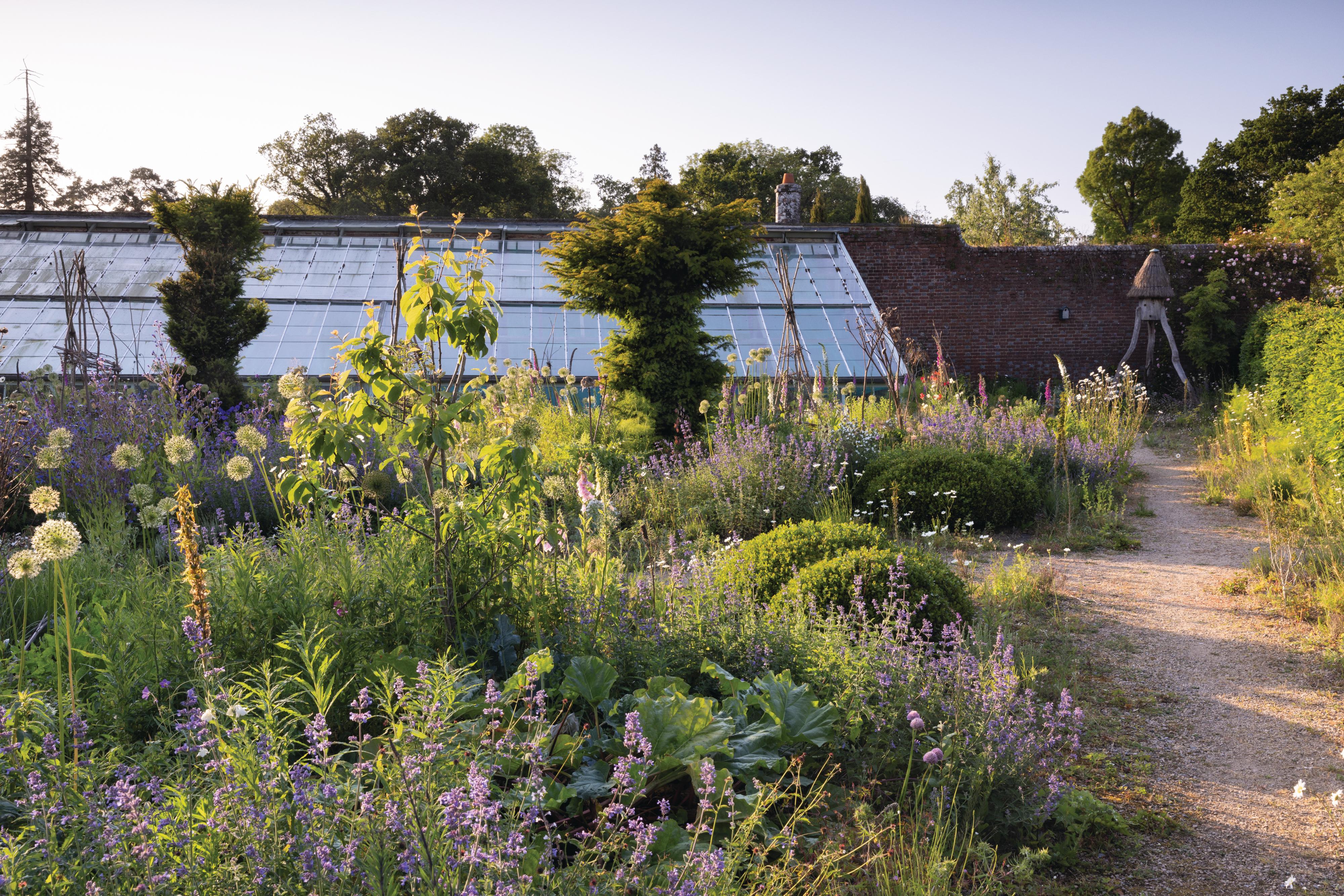 Knepp Castle: The rewilded Walled Garden
