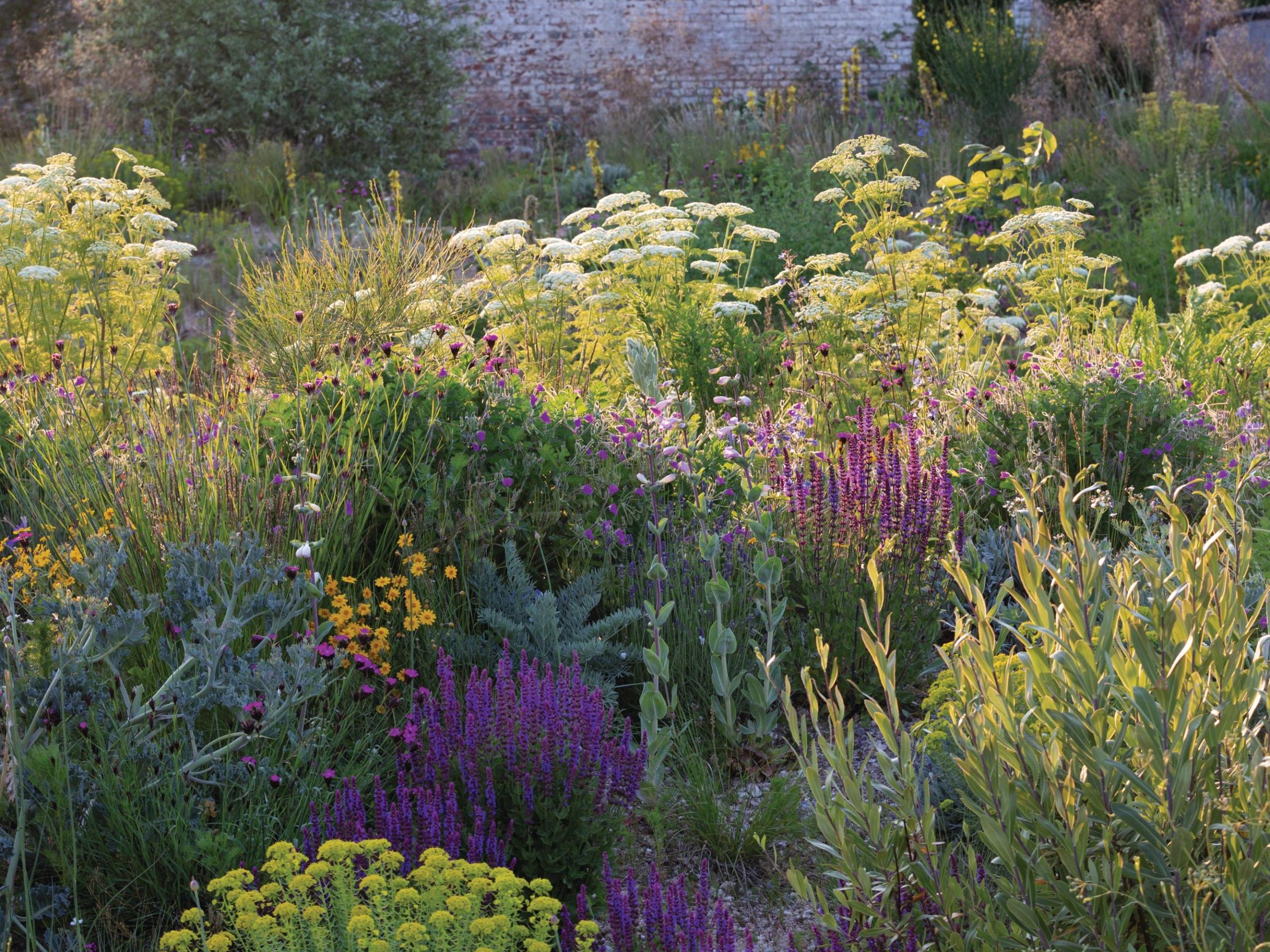 Knepp Castle: The rewilded Walled Garden