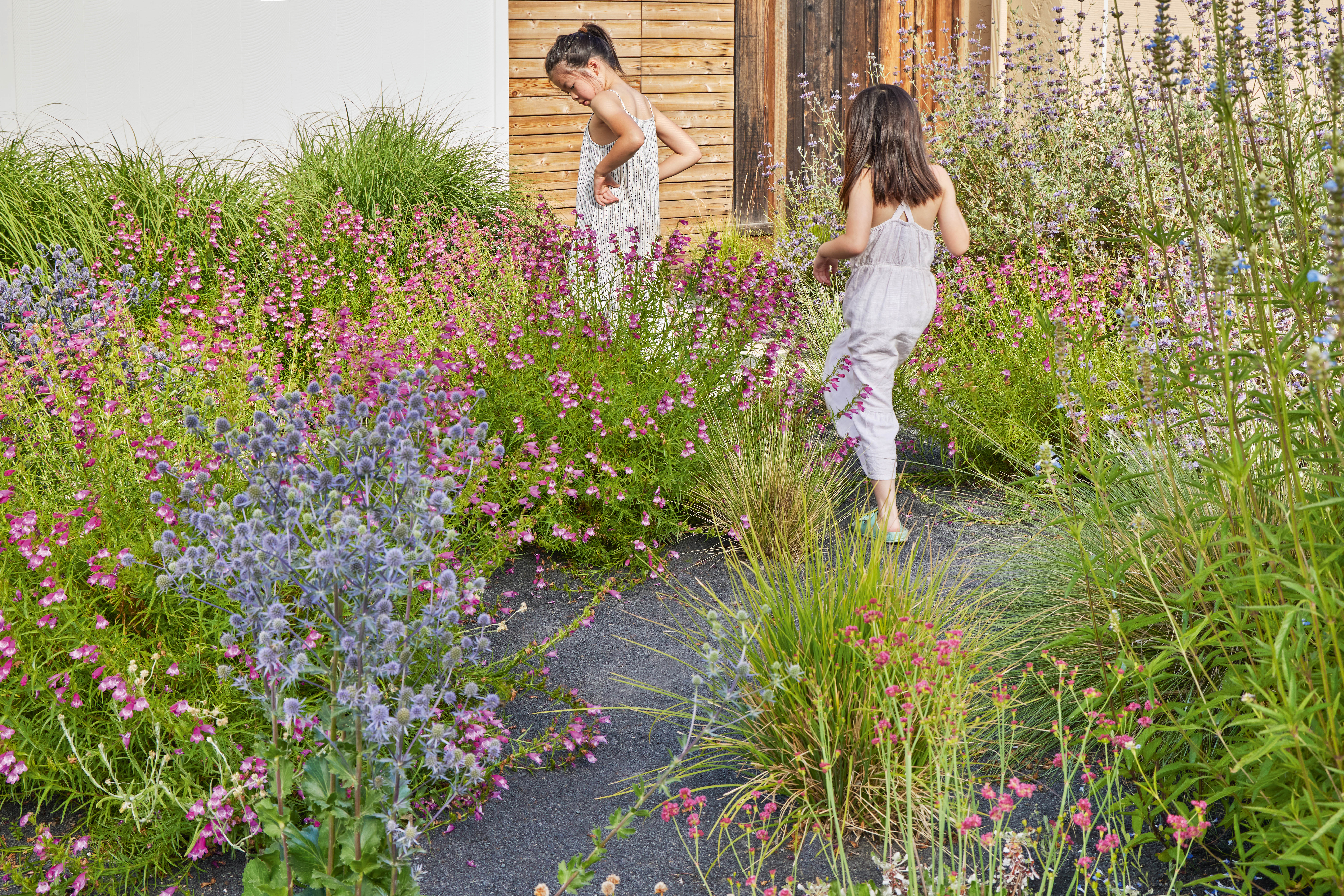 Terremoto's Alice Garden