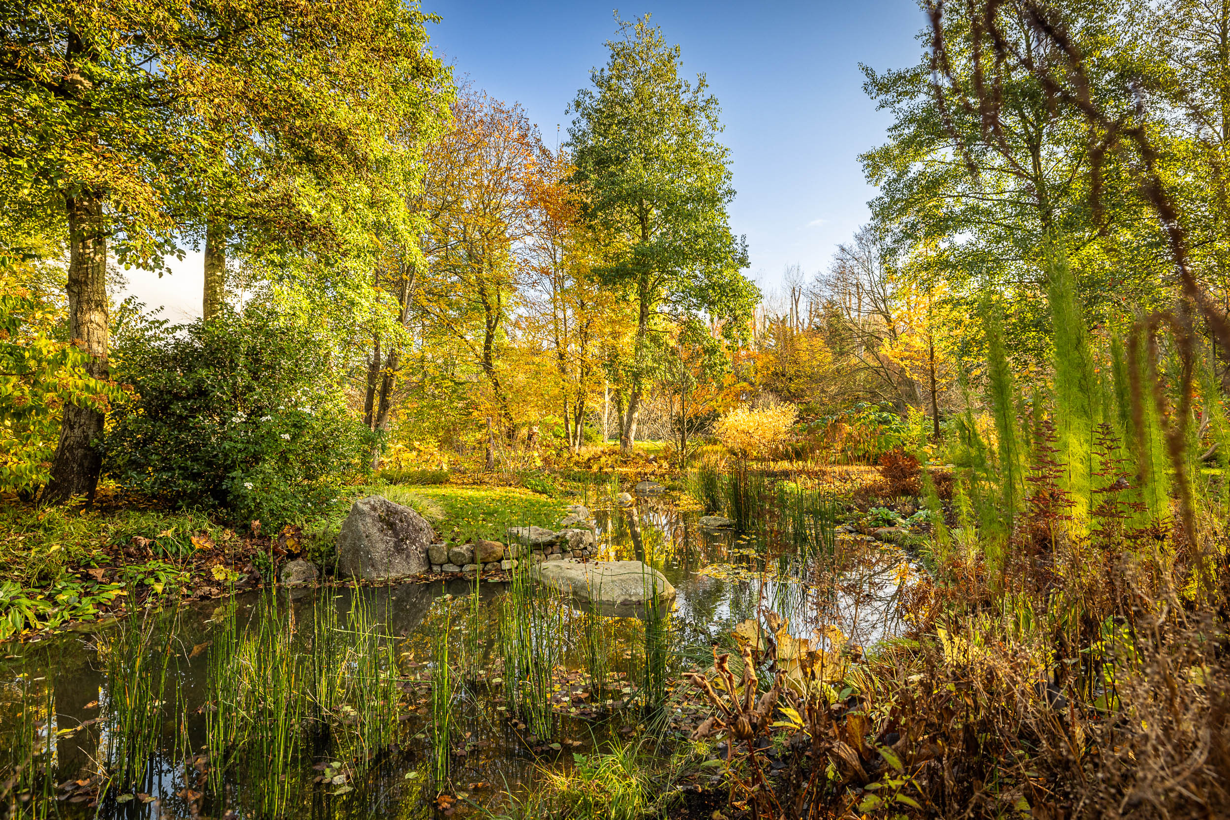 SGD Garden of the Year, designed by Sarah Eberle