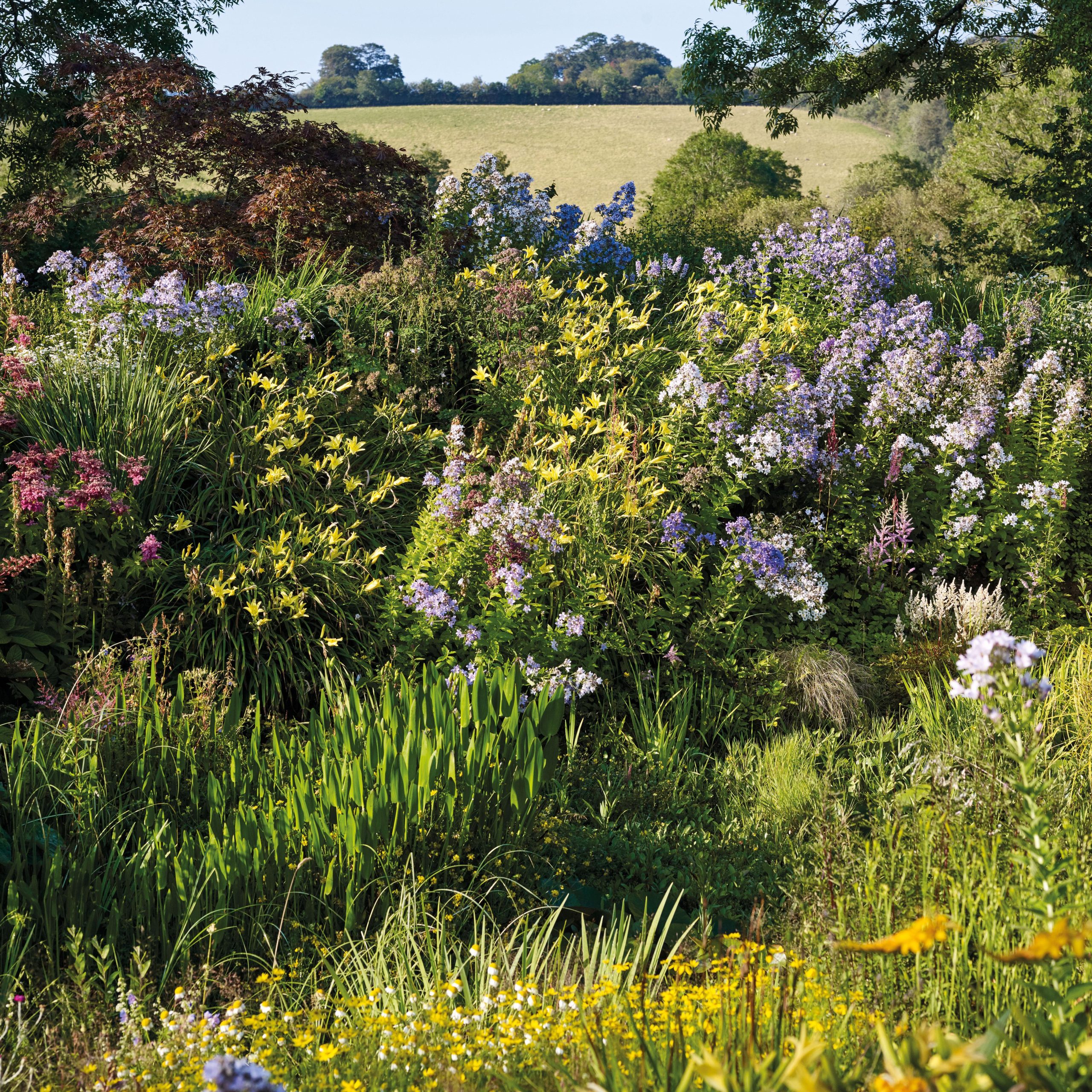 Wildside Nursery Garden