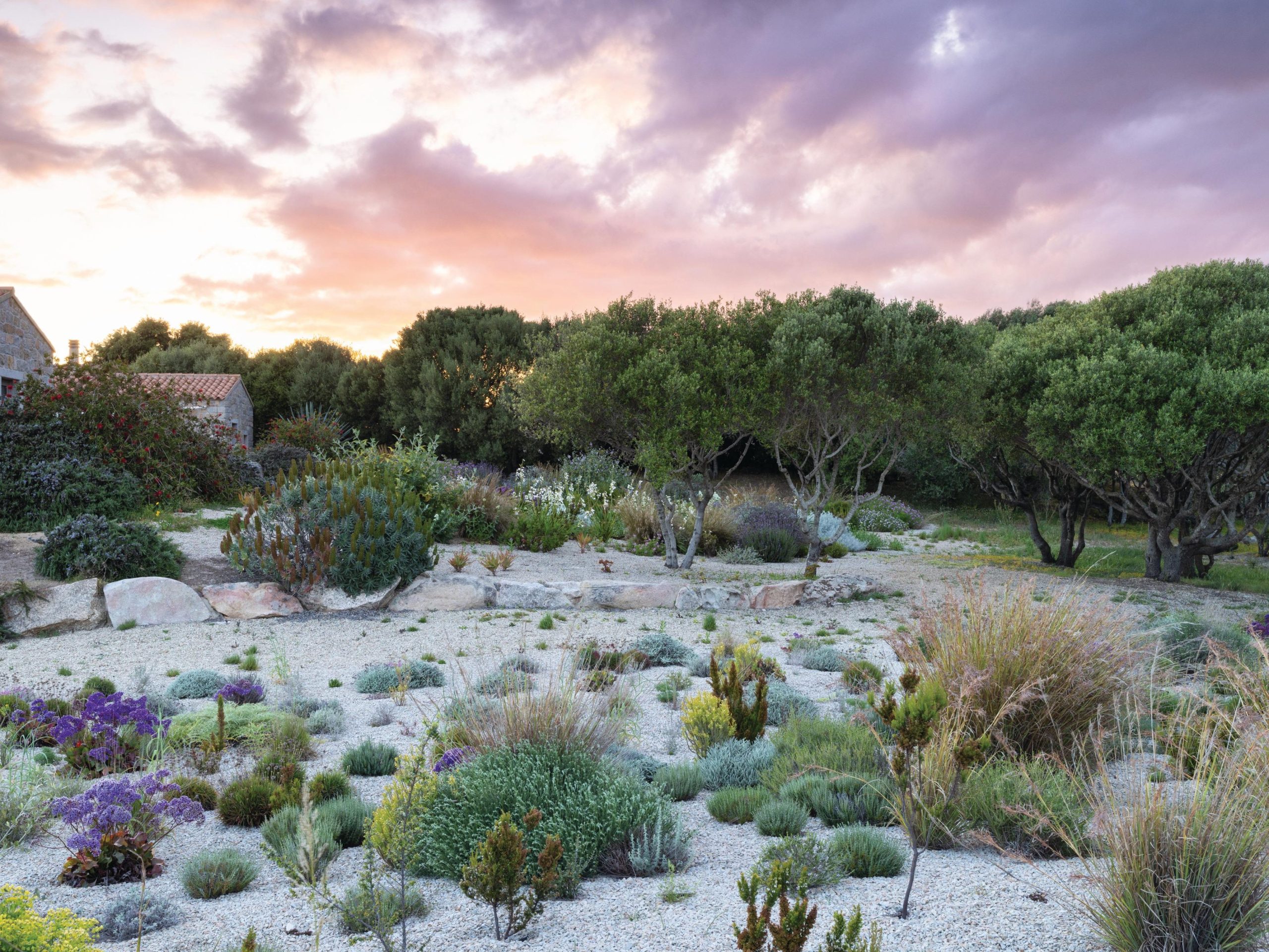 Coastal garden in Sardinia