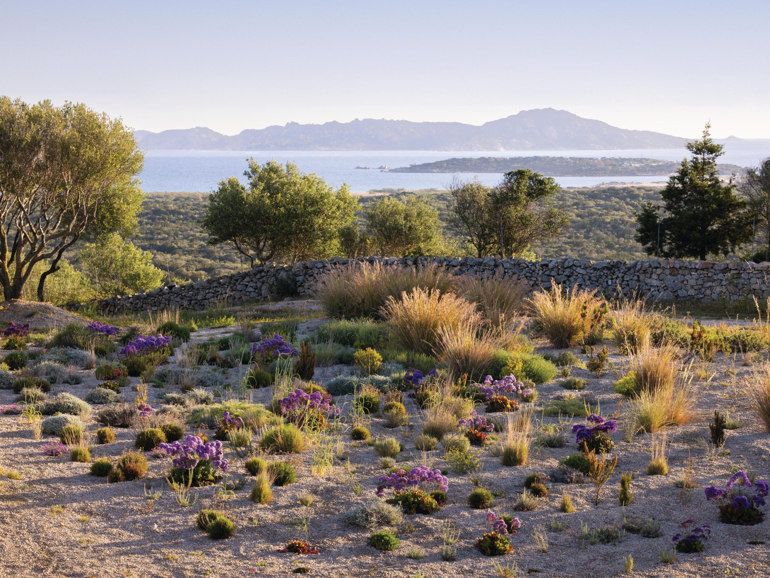 Coastal garden in Sardinia