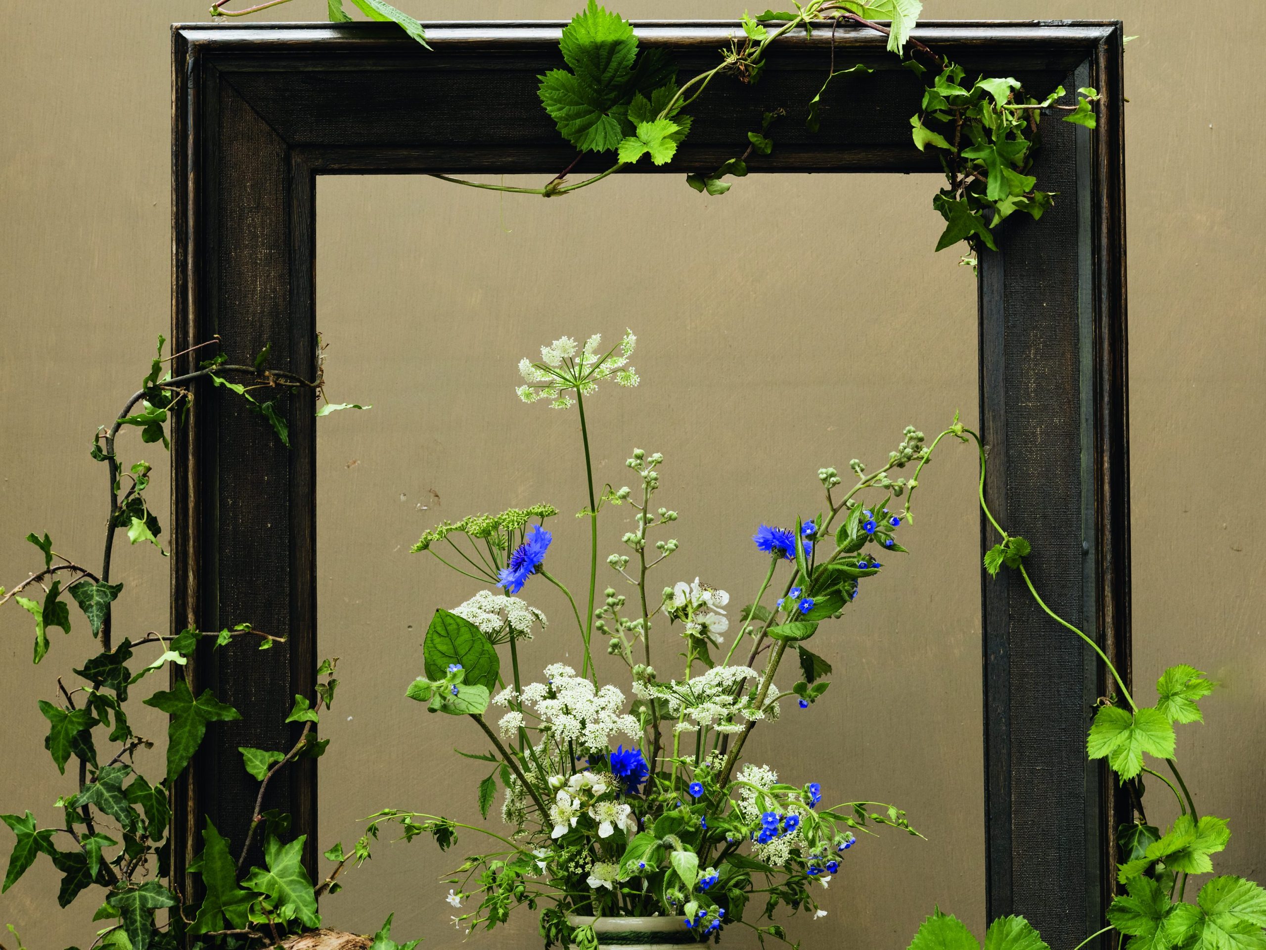 'Weeds' from the garden 