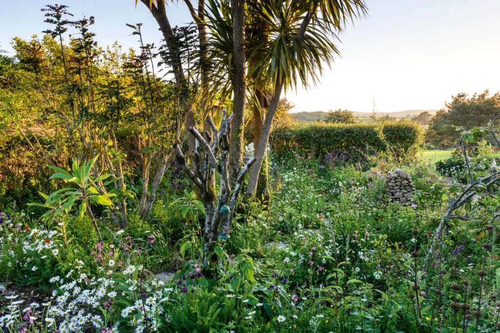 Sid Hill Forest Garden, Cornwall Sid Hill Forest Garden