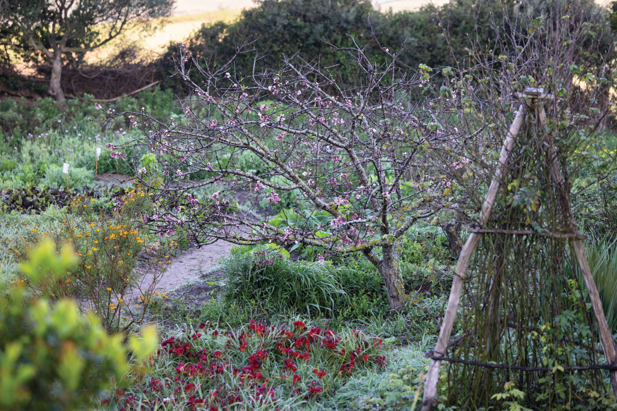 Rohuna gardens Morocco