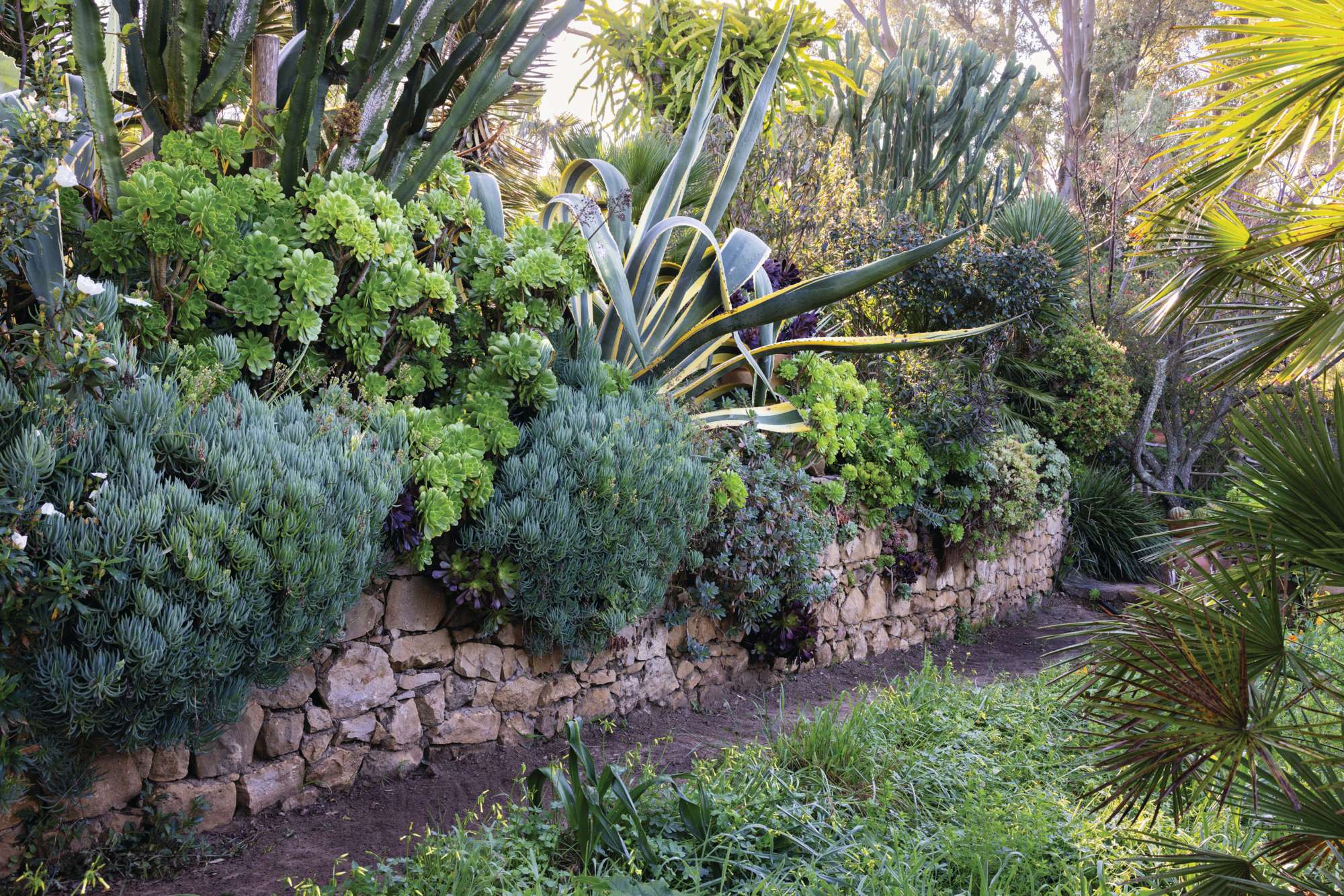 Rohuna gardens Morocco