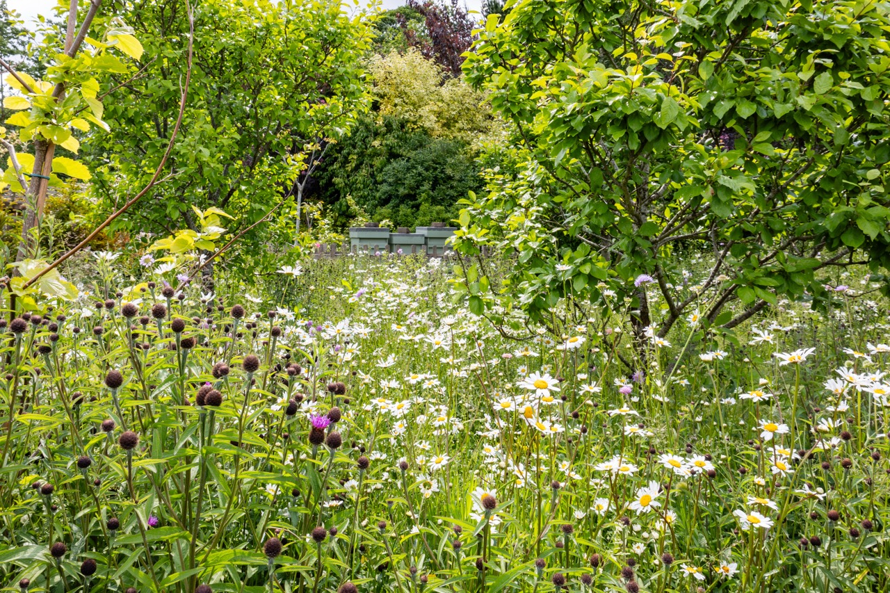 Gardens at Normans Hall in Cheshire