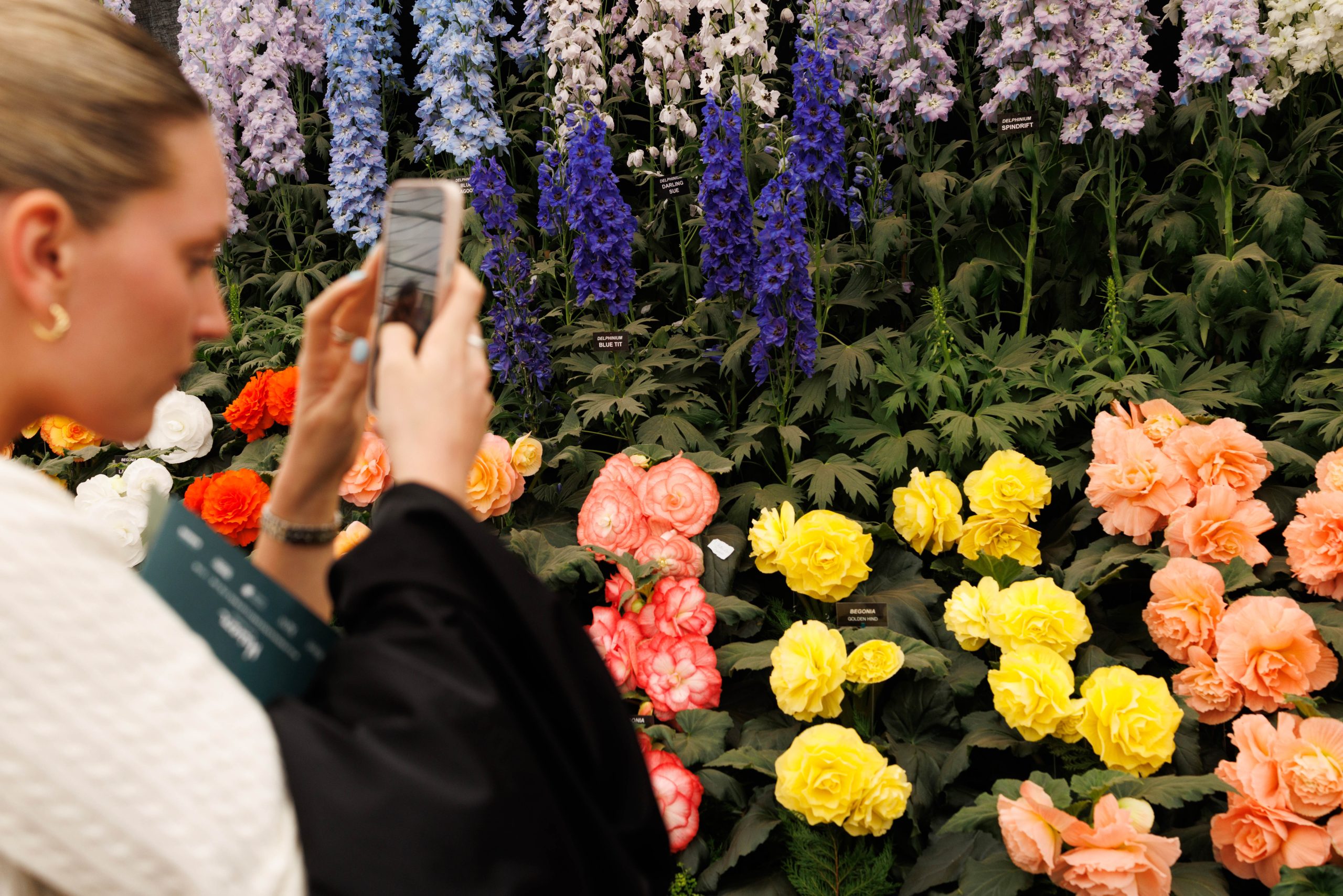 A visitor takes photos of a stand at RHS Chelsea Flower Show