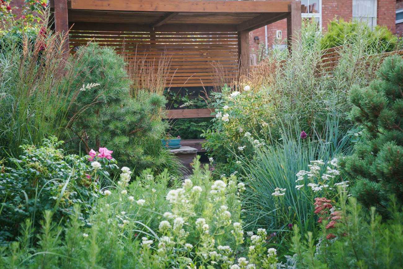 A pergola in a garden designed by Ula Maria