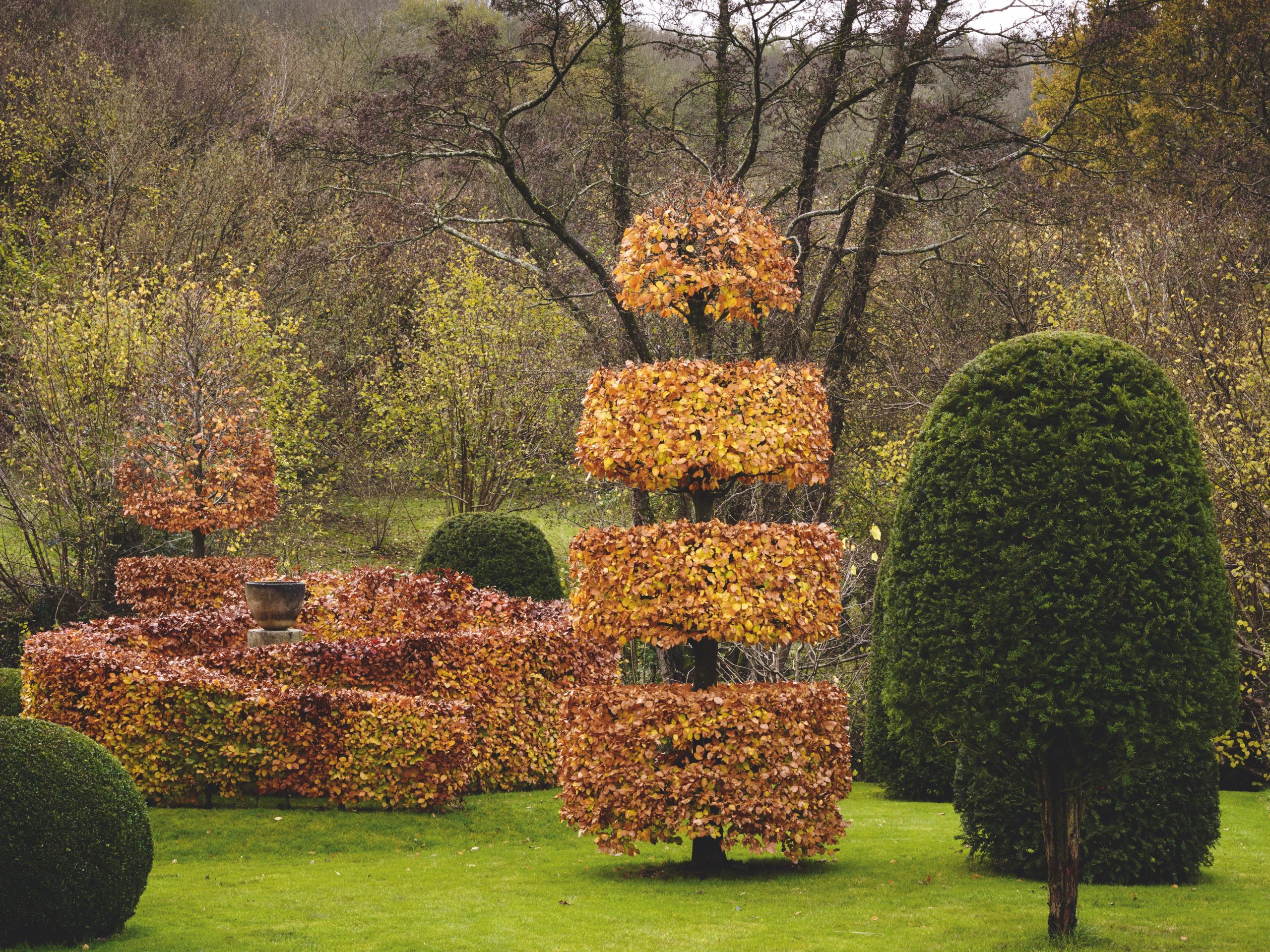 Cut Copper Beech Spiral Hedge with Beech, Yew & Box Topiary