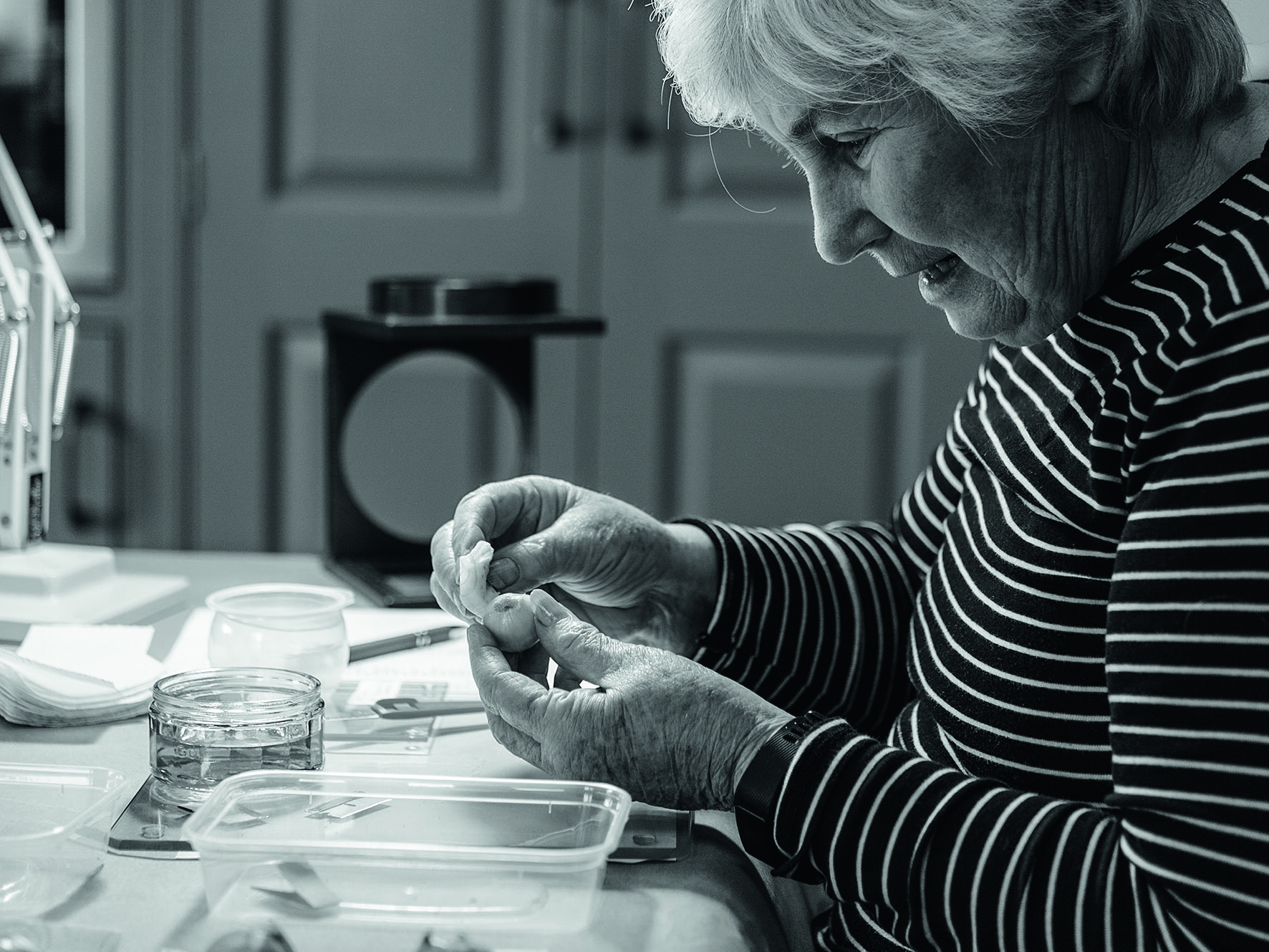 Margaret MacLennan propagating snowdrops