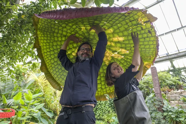Gardeners at Royal Botanic Gardens, Kew. Credit: RBG Kew Gardeners at Royal Botanic Gardens, Kew. Credit: RBG Kew