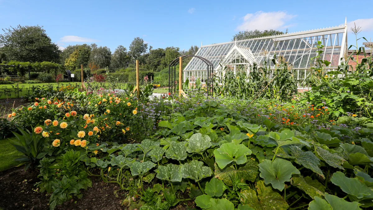 Alitex glasshouse with Garden Organic veg patch Alitex glasshouse with Garden Organic veg patch
