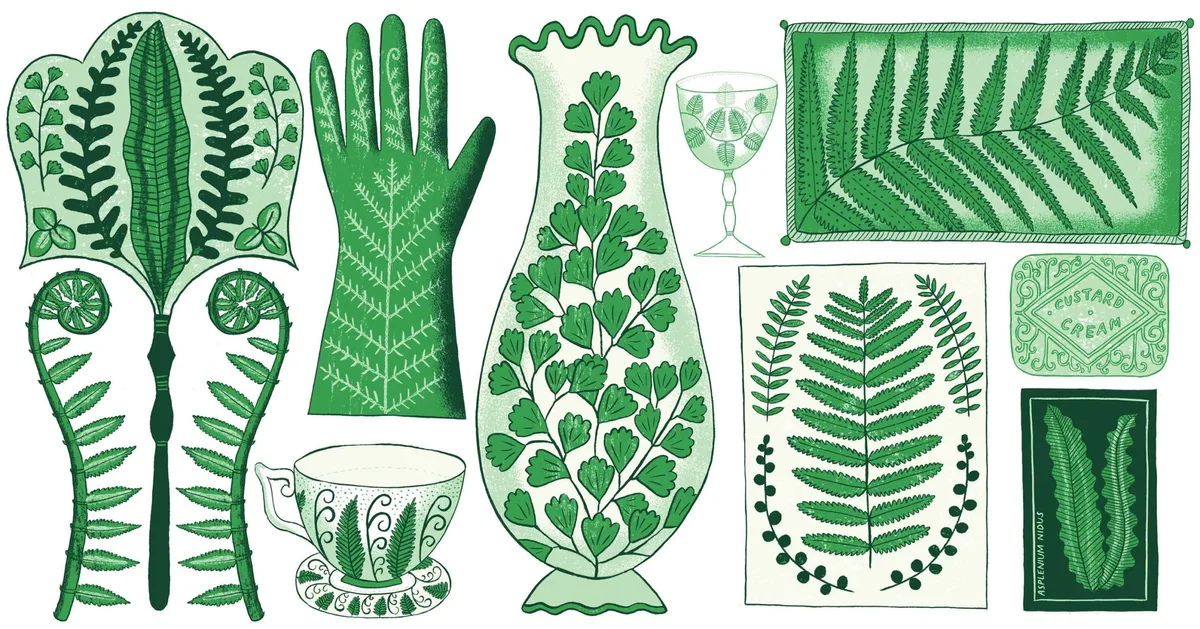 Illustration of houseplants Illustration of houseplants