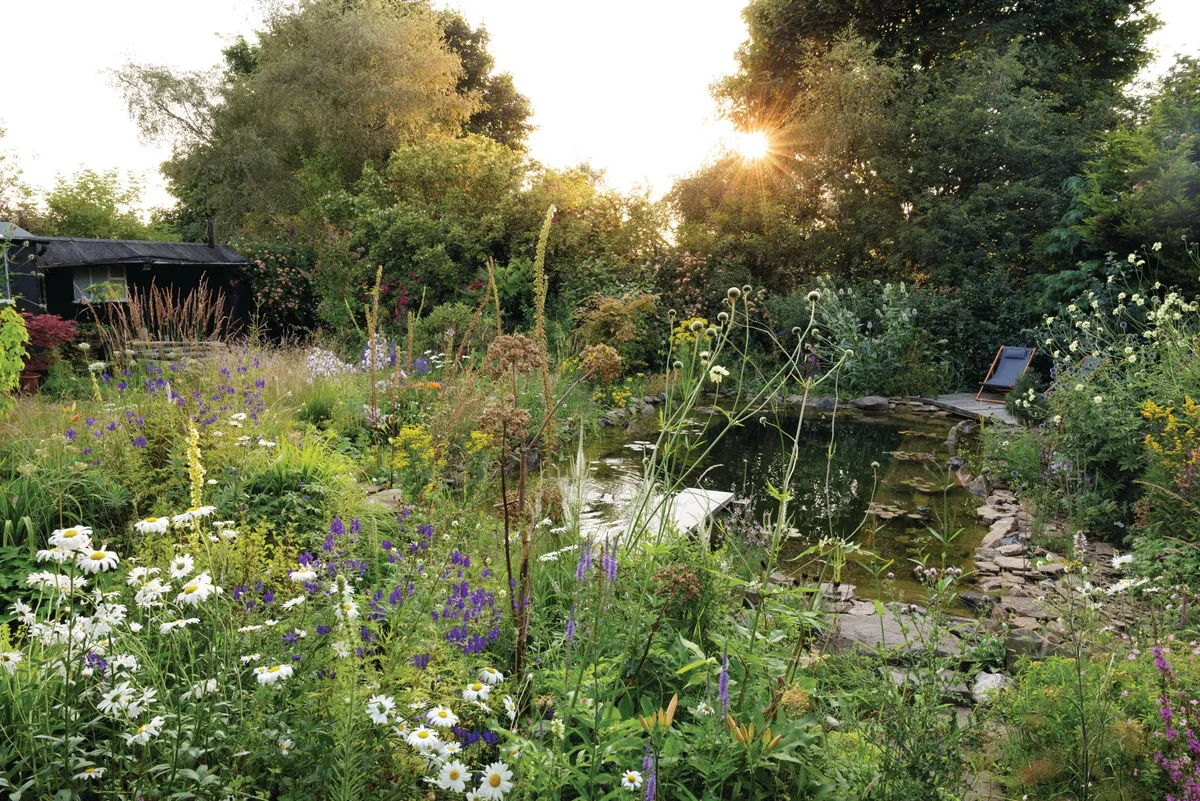 Will Tomson's garden with swimming ponnd Lush garden swimming pond