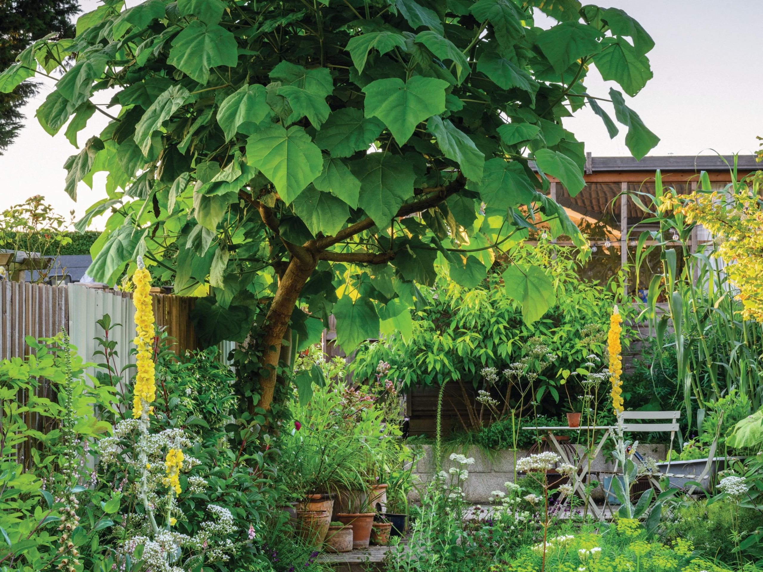 Matt Evans long narrow townhouse garden