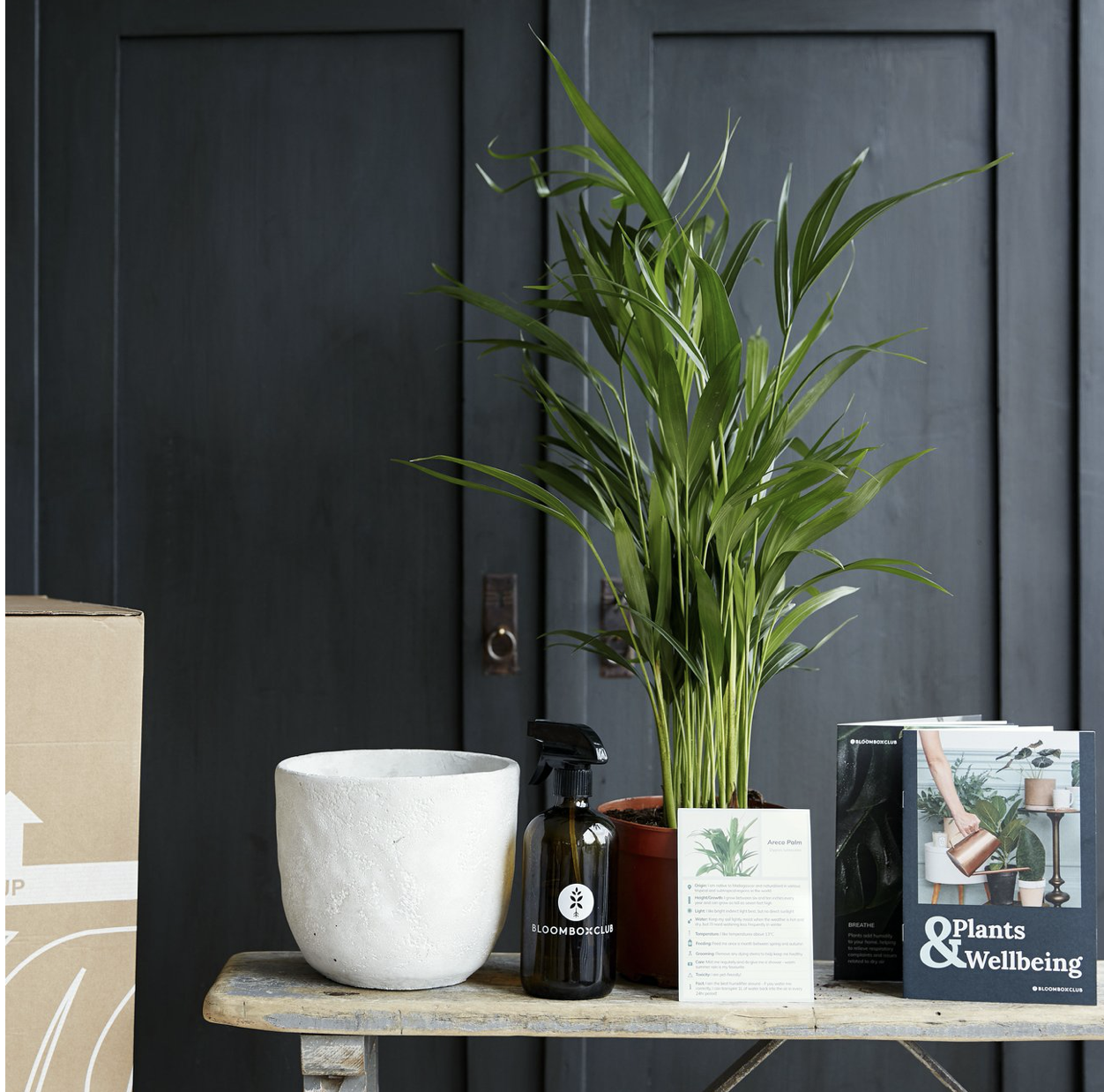 Bloombox Club