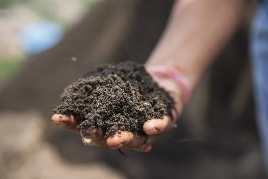 best-compost-for-potting-hero person holding a handful of soil