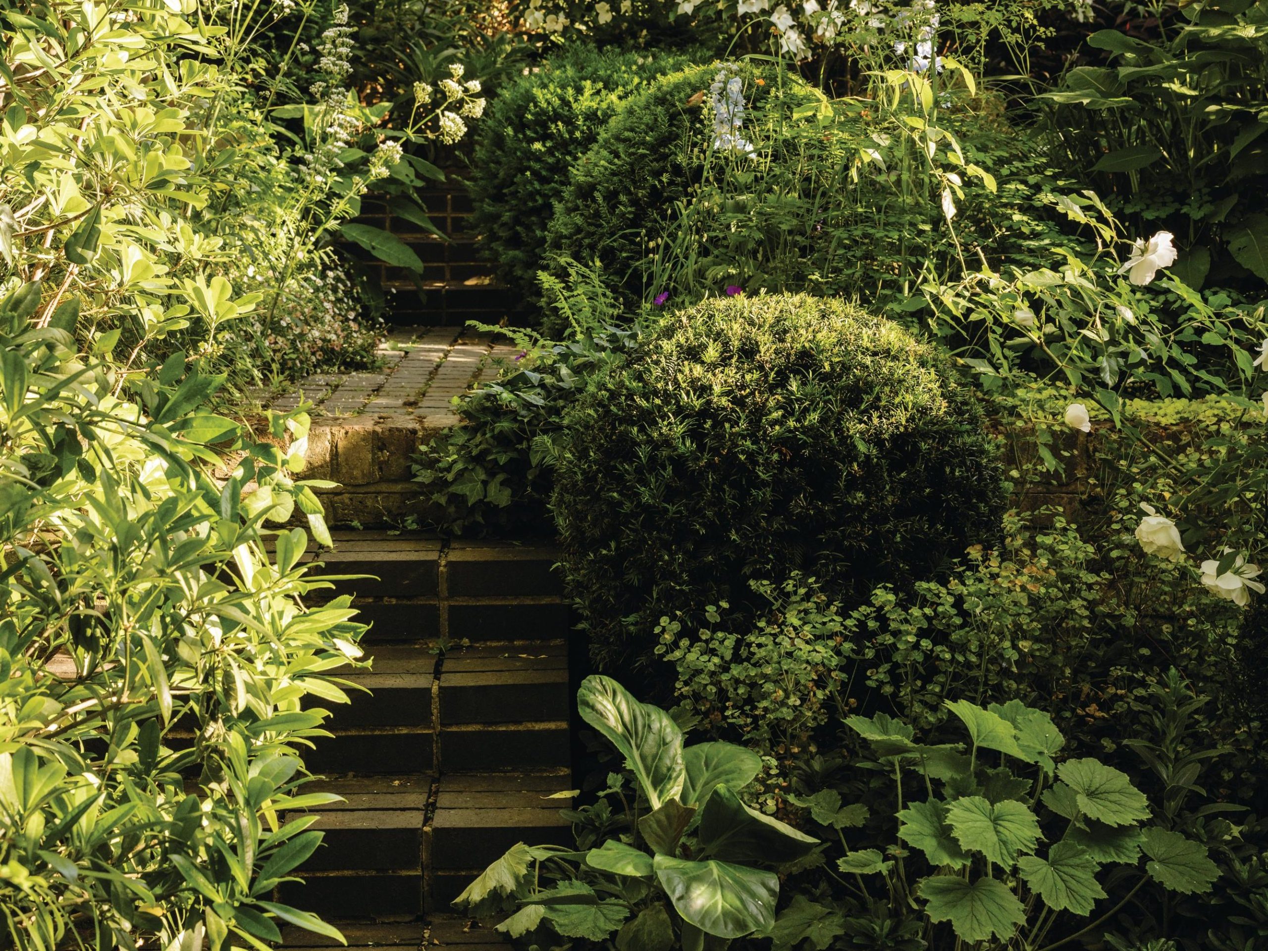 Garden steps