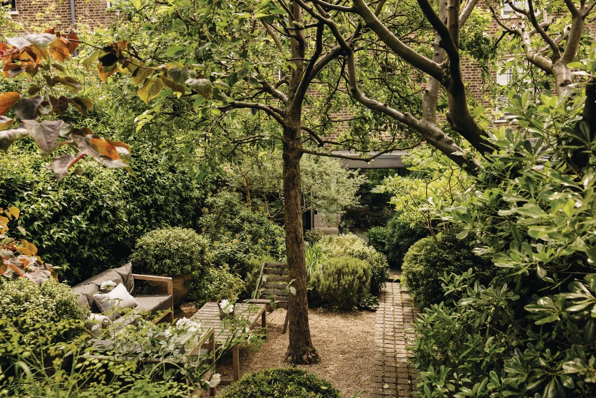 Emily Erlam London garden Garden with seating