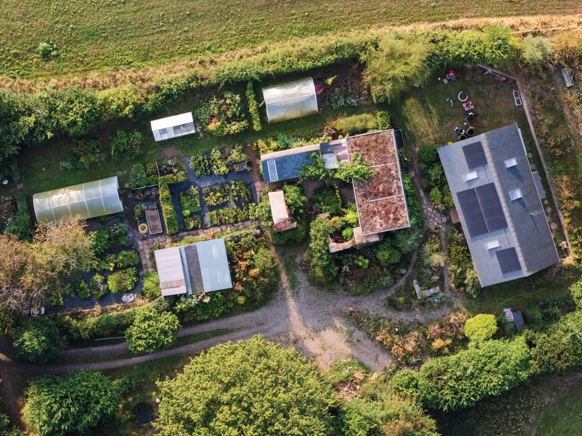 Tom Nielsen's Biocentric Plants
