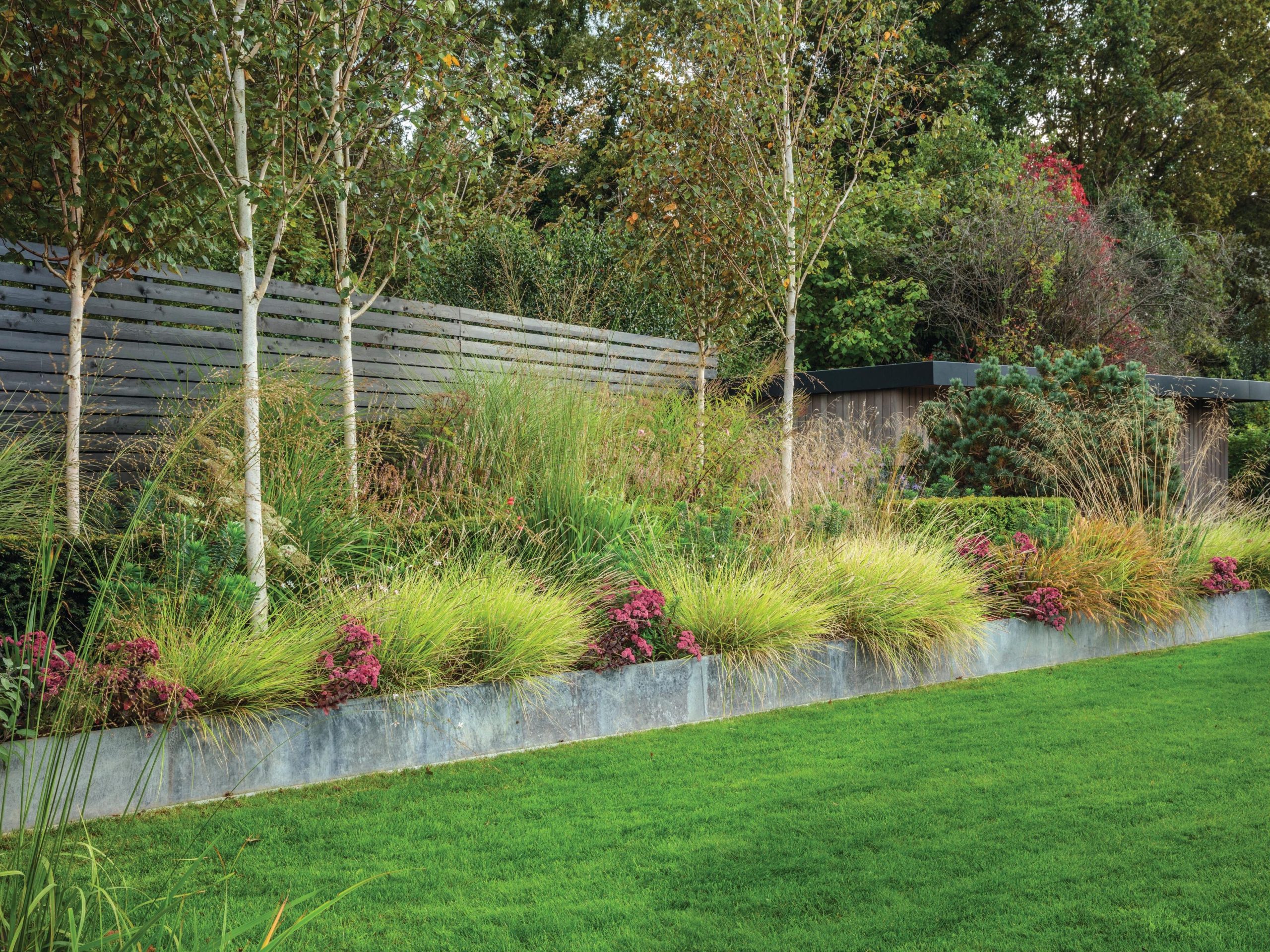 Garden border and lawn