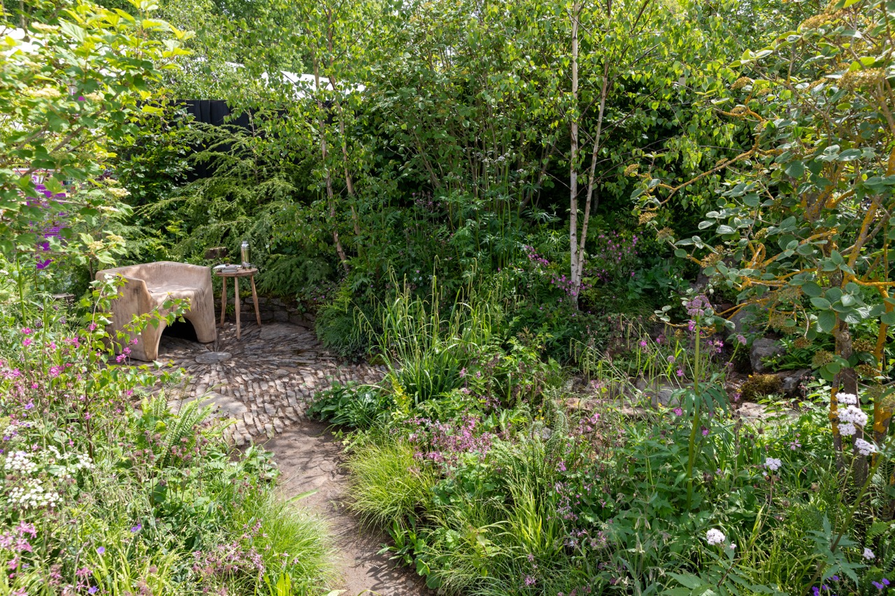 Woodland Trust: Forgotten Forests Garden. Designed by Ashleigh Aylett. All About Plants. RHS Chelsea Flower Show 2026.