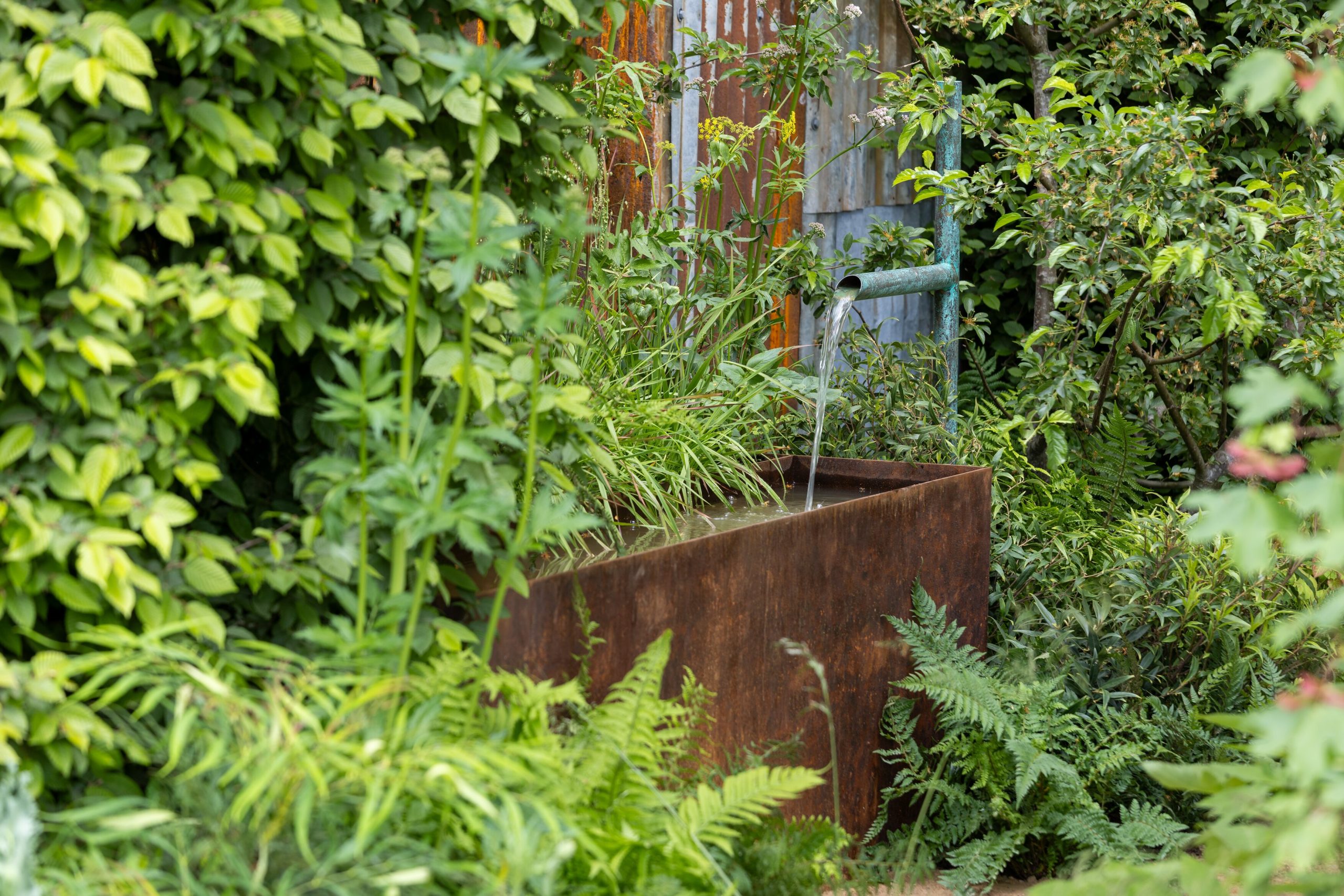 The Children's Society Garden. Designed by Patrick Clarke Landscapes. Show Garden. RHS Chelsea Flower Show 2026. Site no. 321