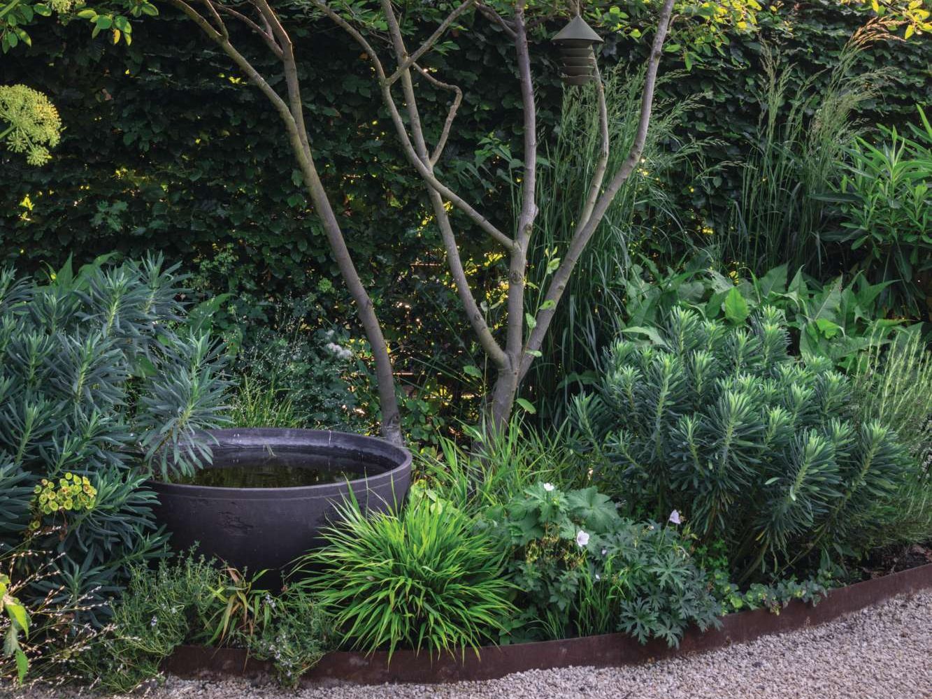 Pollyanna Wilkinson's studio garden