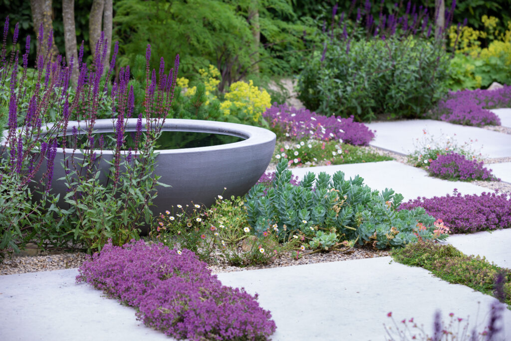 Garden designed by Colm Joseph A gravel garden designed by Colm Joseph