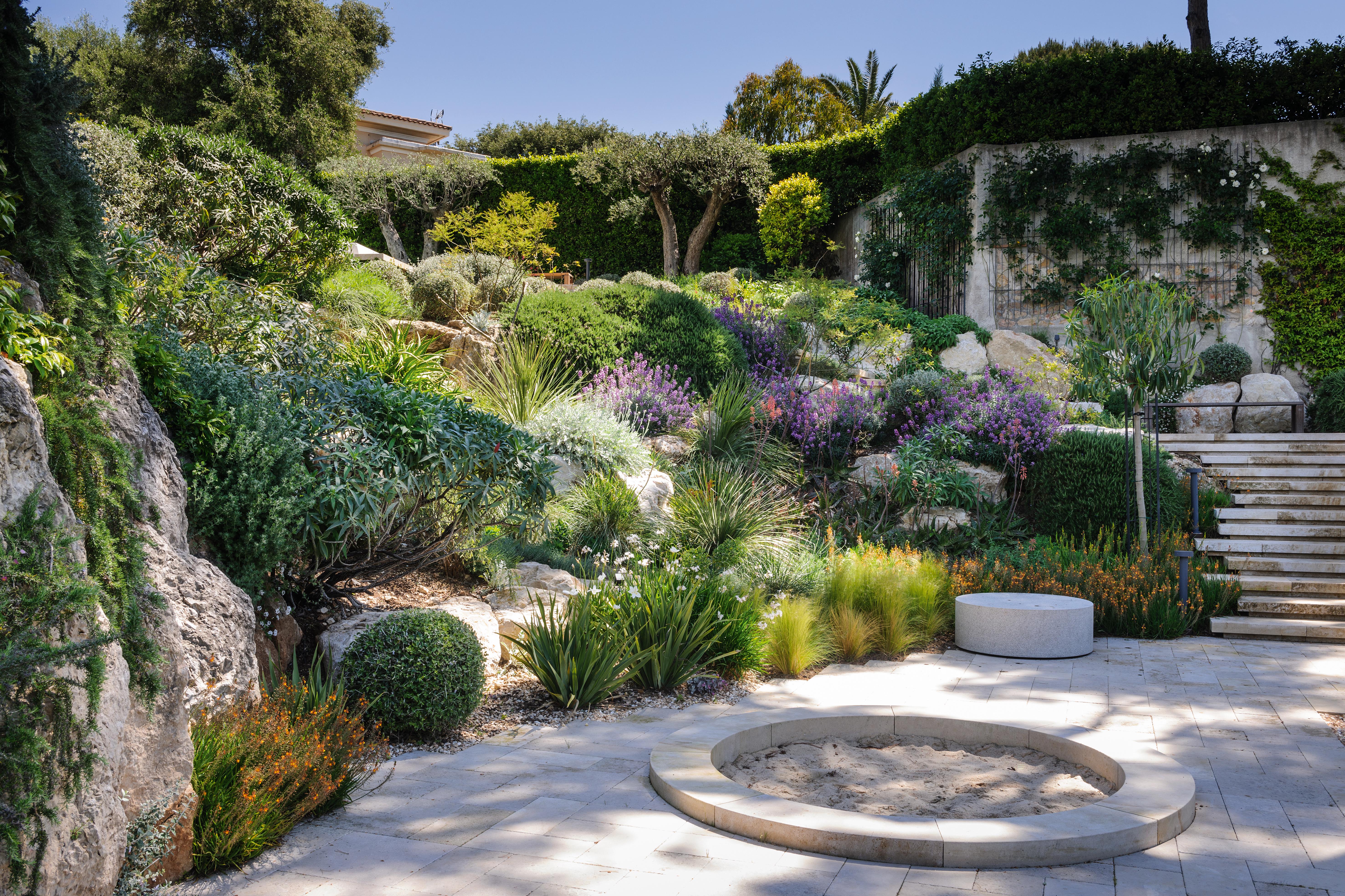 Antibes, France - Designed by Ulf Nordfjell (16th May 2019) The sun-baked rock garden is planted in soil that has been made more open by the addition of volcanic rock. Crisp, clipped balls of Teucrium fruticans, the Australian rosemary Westringia fruticosa and dense, bushy rosemary, Salvia rosmarinus, along with cushioning plants, such as centaureas and erysimums, are interplanted with looser, more vertical forms, including the white society garlic Tulbaghia violacea ‘Alba’, the orange-flowered Bulbine frutescens (at the bottom), the fan-shaped Dasylirion serratifolium and two spiky aloes, the orange-flowered Aloe x spinossisima and further up the slope Aloe arborescens.