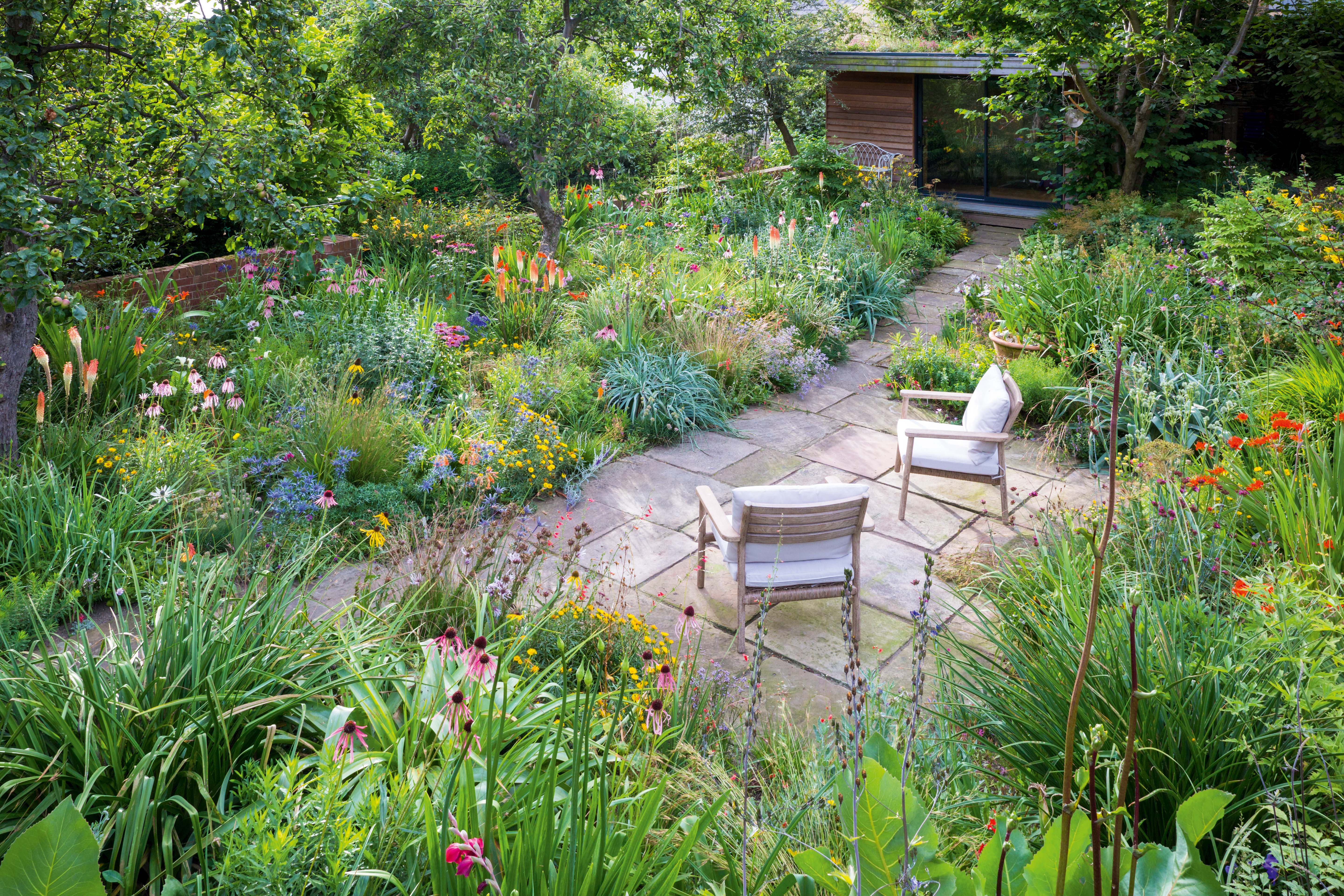 James Hitchmough's garden Seating area at James Hitchmough's Sheffield garden in August.