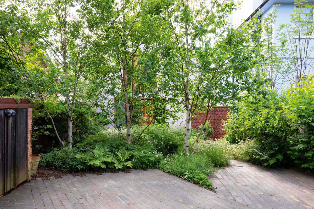 Front Garden with Parking by Jane Brockbank Front Garden with Parking by Jane Brockbank